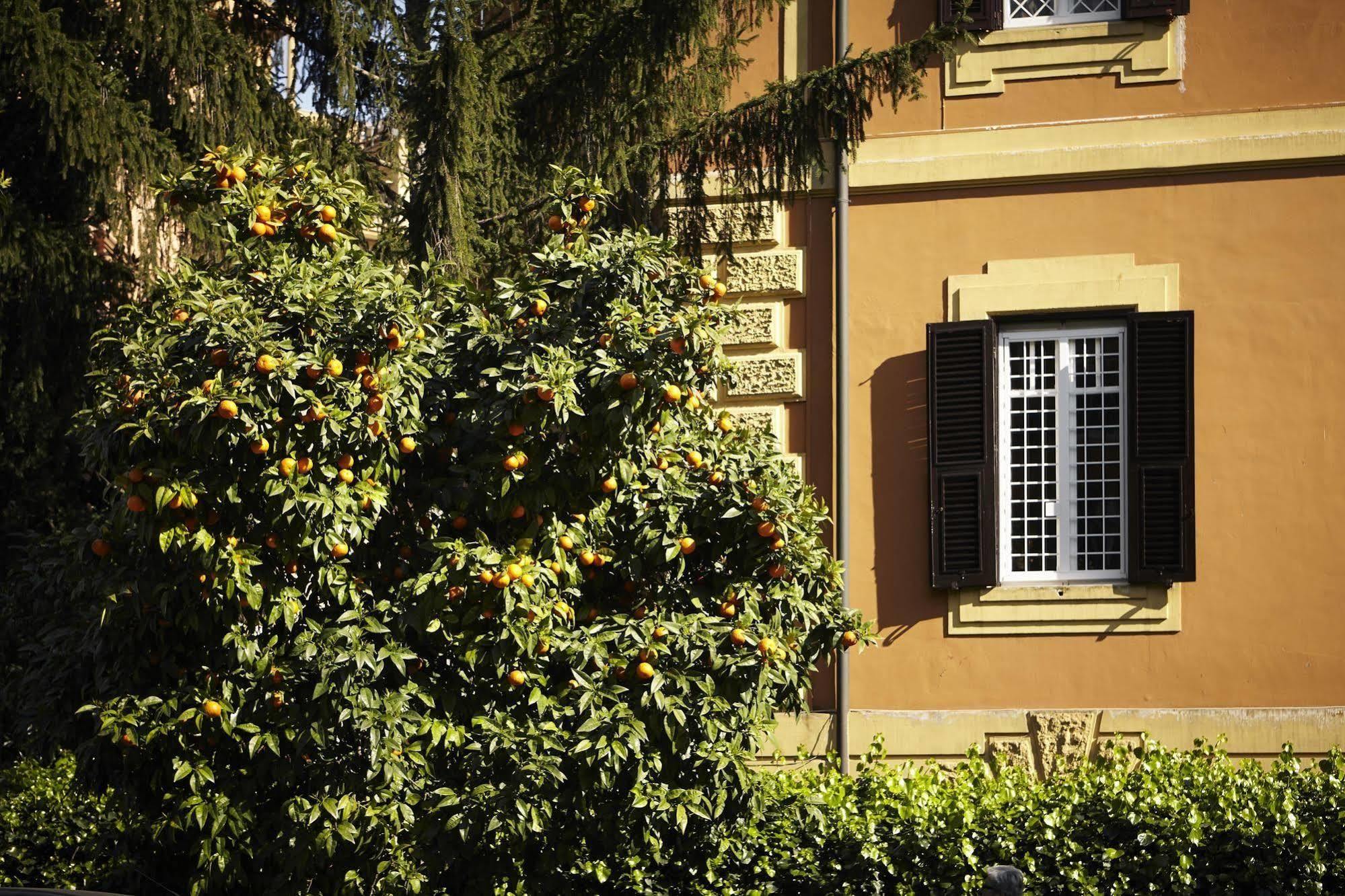 21 Aprile House Bed & Breakfast - Rome — Photos 2